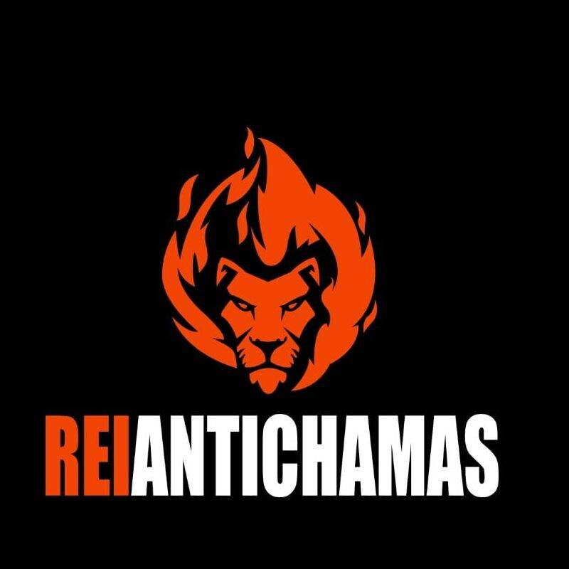 Imagem do logo do formulário